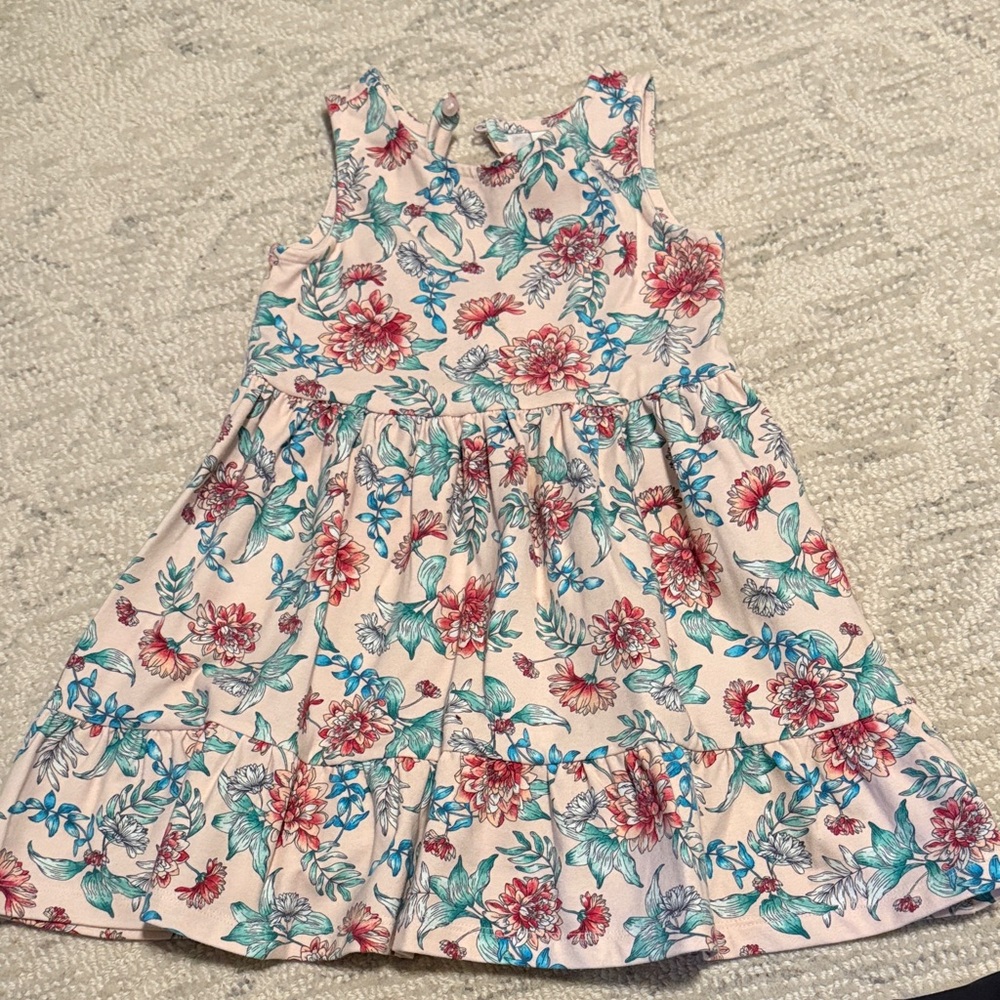 Janie and Jack Floral Kids Dress in Pink and Blue